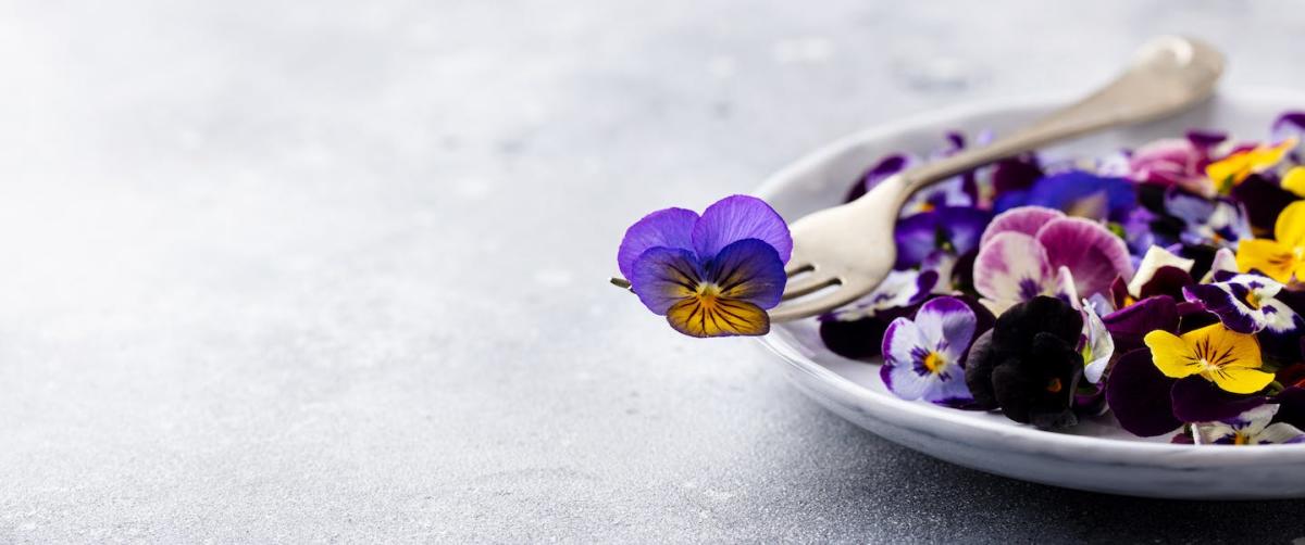 Todos los secretos de las flores comestibles para tu salud (I