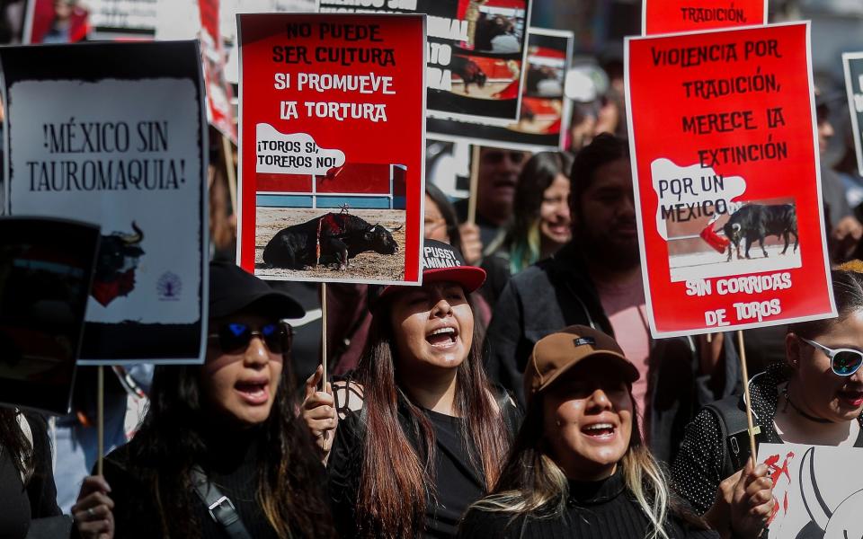 Demonstrators march in rejection of the reopening of bullfighting in Mexico City