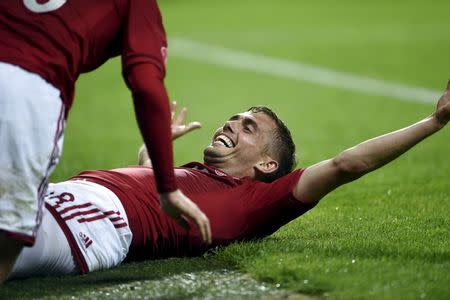 Denmark's Jakob Poulsen celebrates after scoring a goal against Serbia during their Euro 2016 qualifying match in Copenhagen, Denmark, June 13, 2015. REUTERS/Liselotte Sabroe/Scanpix Denmark