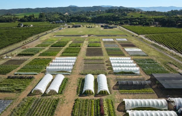 The farmland at SingleThread in Sonoma County.<p>Courtesy of SingleThread</p>