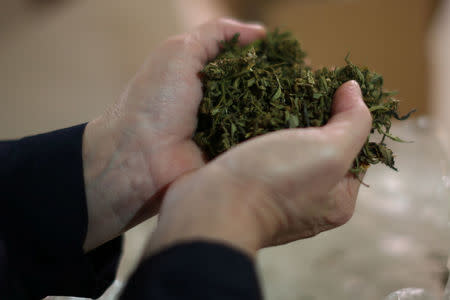 California "weed nun" Christine Meeusen, 57, who goes by the name Sister Kate, opens a bag of hemp in the kitchen at Sisters of the Valley near Merced, California, U.S., April 18, 2017. REUTERS/Lucy Nicholson