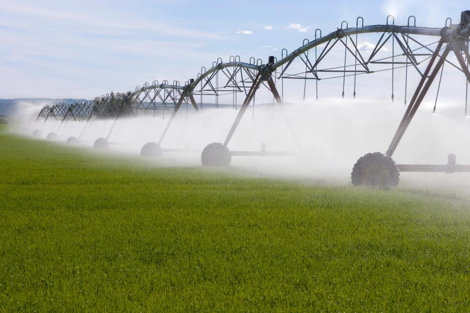 Irrigation machines watering a grassy farm field.