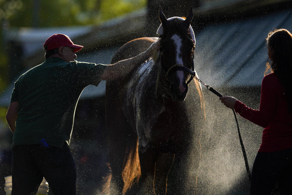 Guadalupe Guerrero, left, and exercise rider Jade Cunningham give Preakness hopeful Ram a bath after a morning exercise at Pimlico Race Course ahead of the Preakness Stakes horse race, Tuesday, May 11, 2021, in Baltimore. (AP Photo/Julio Cortez)