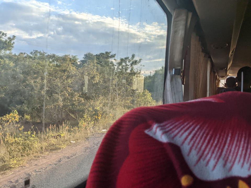 A scenic view of trees outside a bus window