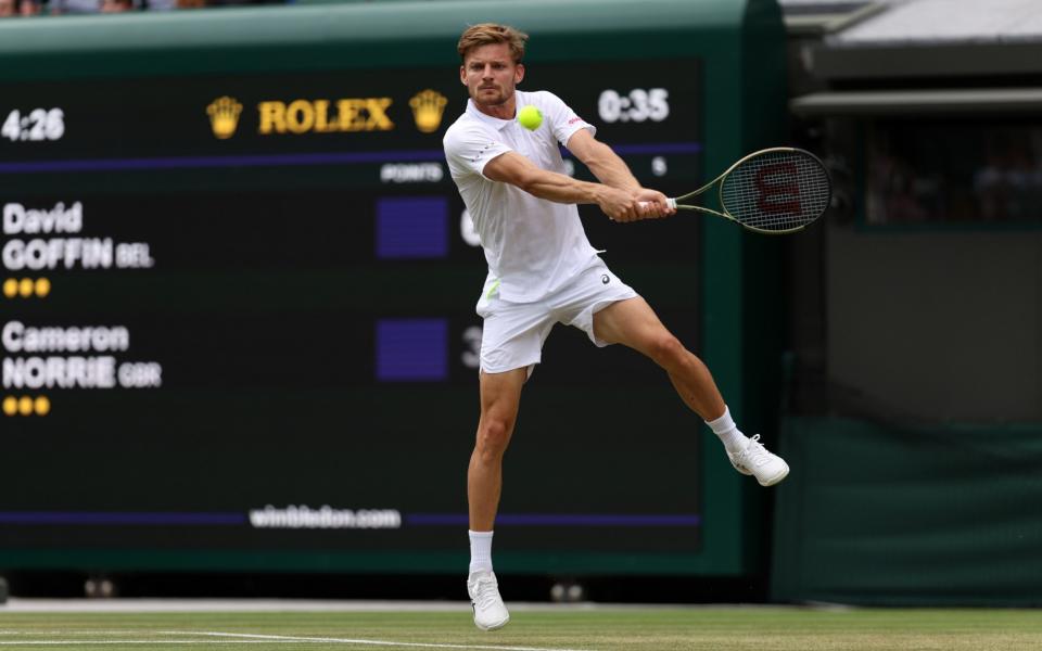 Goffin - GETTY IMAGES