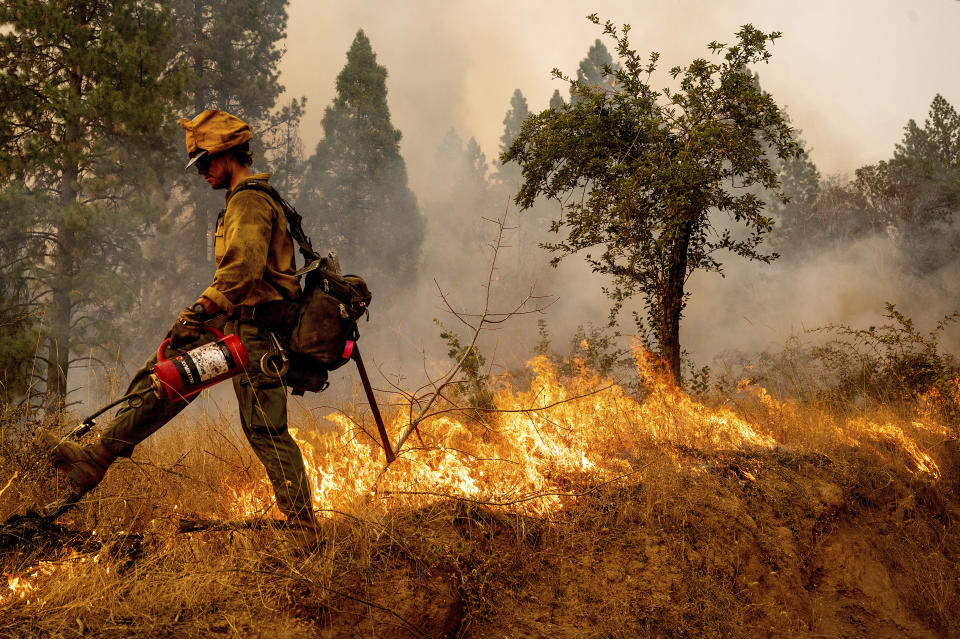 Frefighter Davis Sommer lights a backfire to burn off vegetation while battling the Mosquito Fire in the Volcanoville community of El Dorado County, Calif., on Friday, Sept. 9, 2022. Sommer is part of Alaska's Pioneer Peak Interagency Hotshot crew. (AP Photo/Noah Berger)