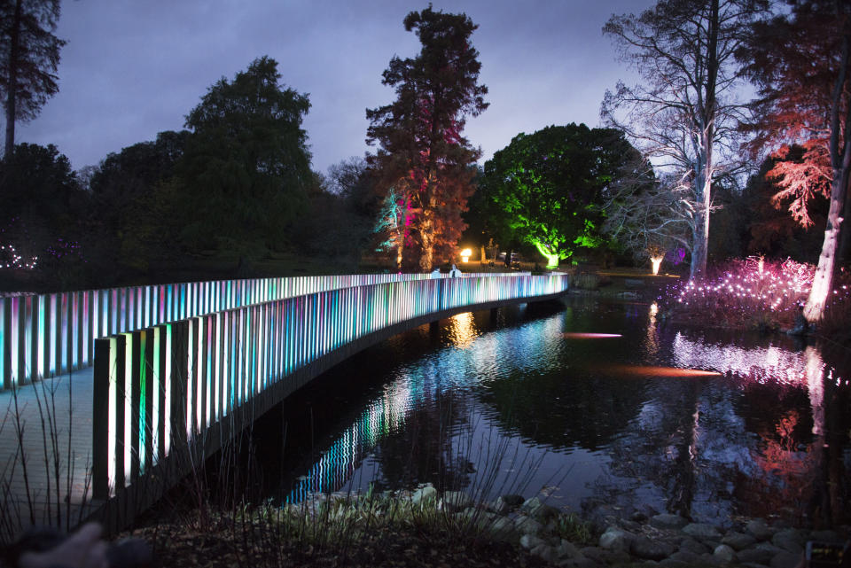 The famous botanical garden is lit up in festive colours during autumn [Photo: Kew Gardens]