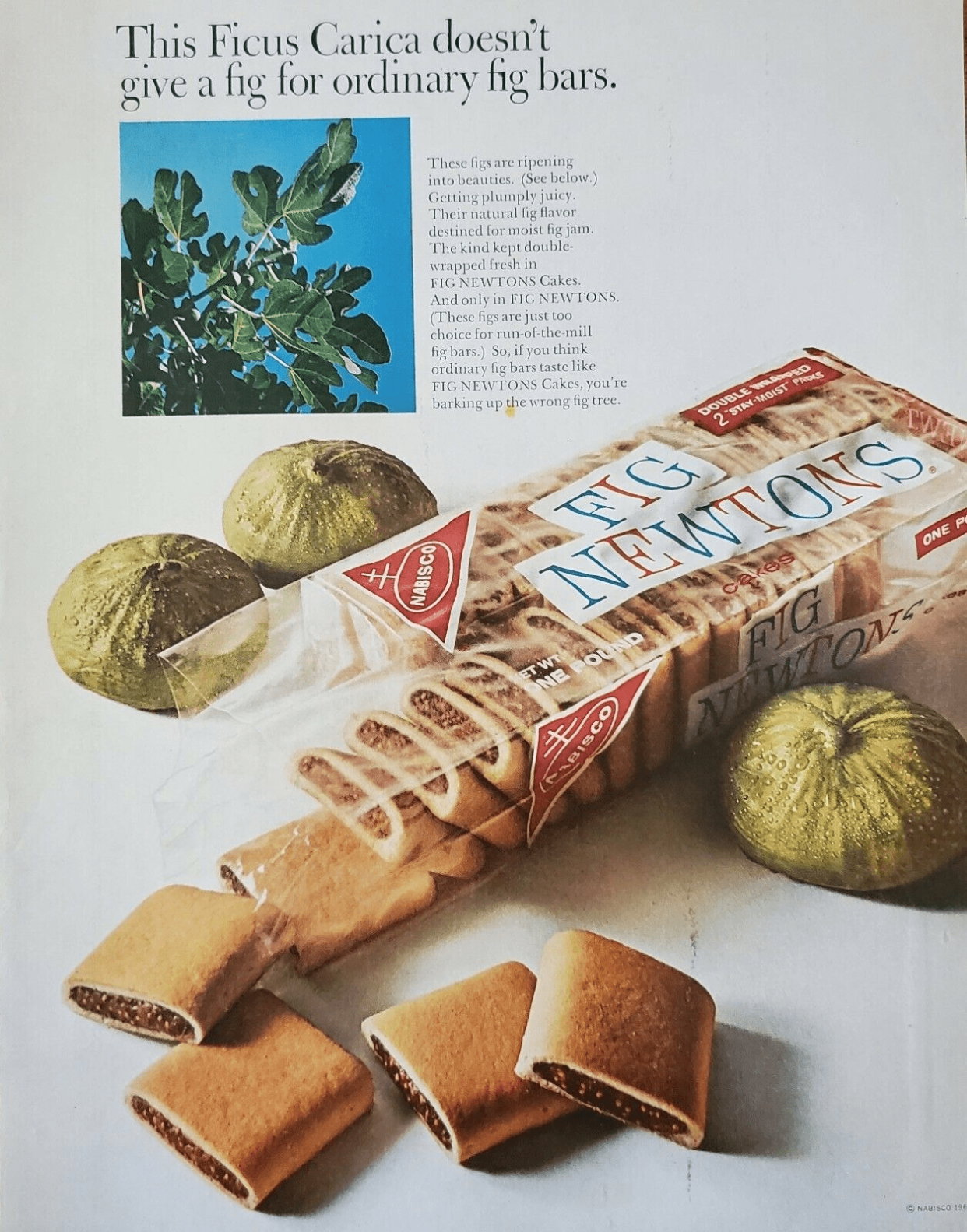 Nabisco Fig Newtons cookies vintage ad, opened rectangular bag of Fig newtons with them spilled out, surrounded by three figs, on a ivory table and background, 1966