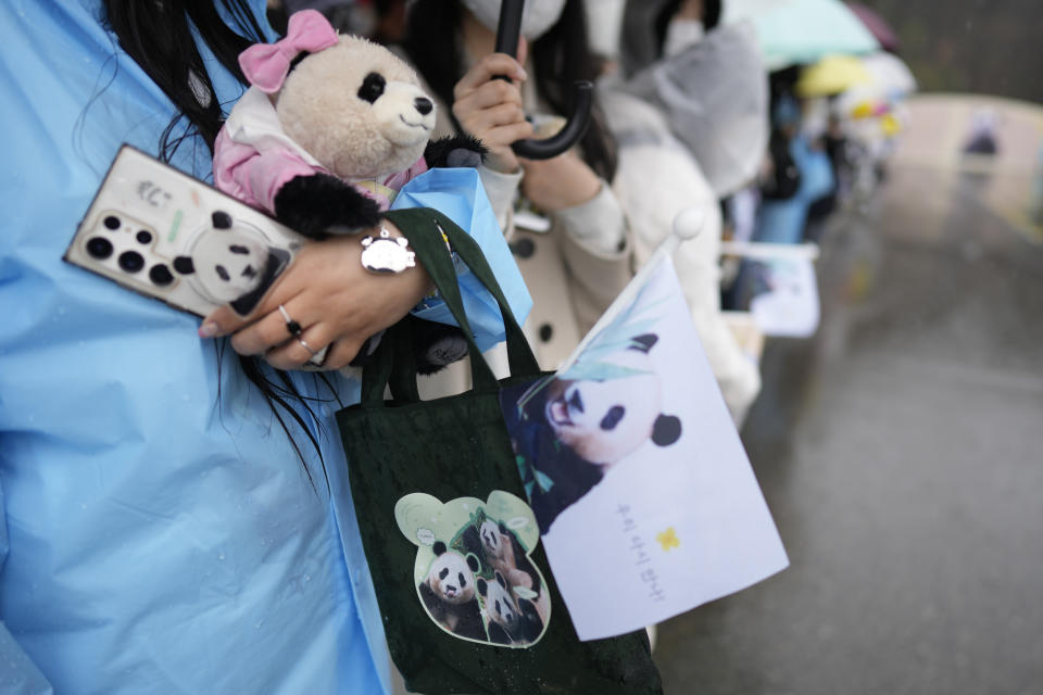 Visitors hold pictures of Fu Bao, the first giant panda born in South Korea, before Fu Bao is transferred to the airport for China at the Everland amusement park in Yongin, South Korea, Wednesday, April 3, 2024. A crowd of people, some weeping, gathered at a rain-soaked amusement park in South Korea to bid farewell to their beloved giant panda before her departure to China on Wednesday. (AP Photo/Lee Jin-man)