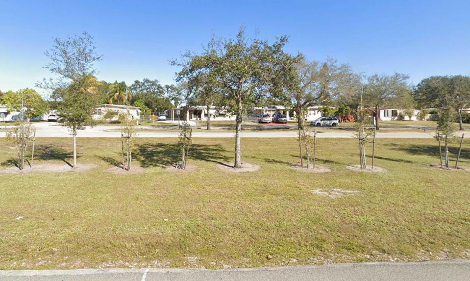 A Google Street View image from 2021 shows saplings planted closely together between more established trees along the Miami-Dade County’s northern border. Reporters who visited the site in 2023 found the trees had not experienced noticeable growth.