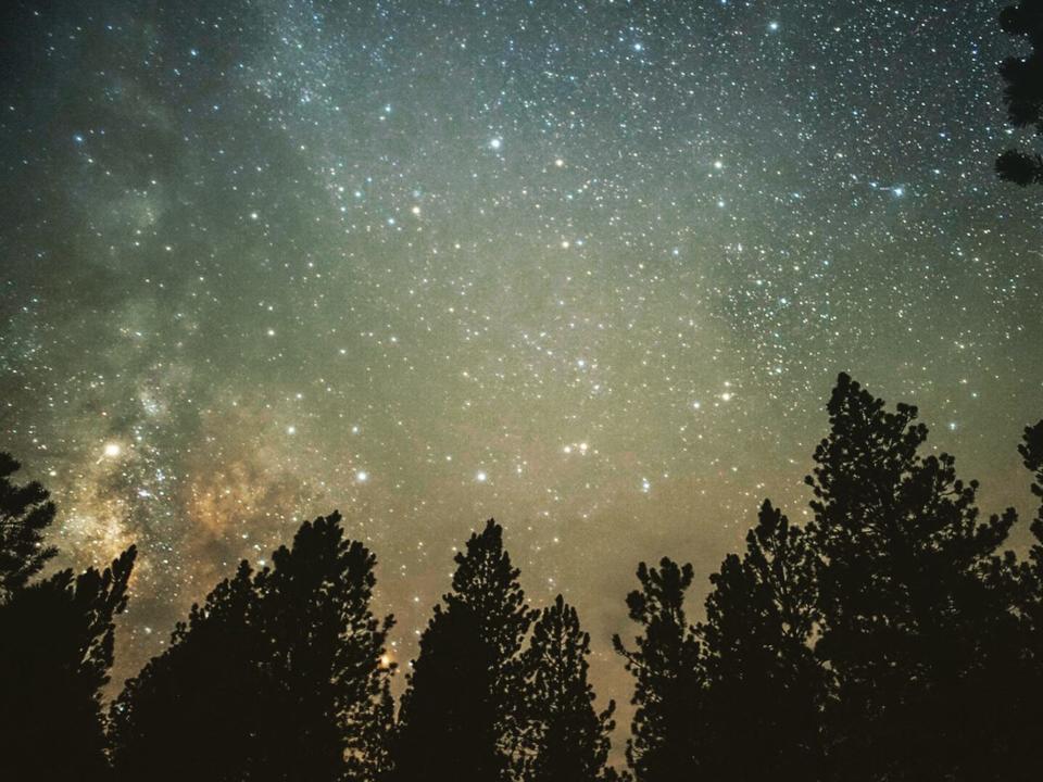 A starry night sky with silhouetted trees in Utah.