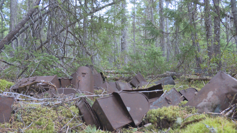 Bear house? Lumber camp? Experts ponder origins of N.B.'s 'lunch box graveyard'