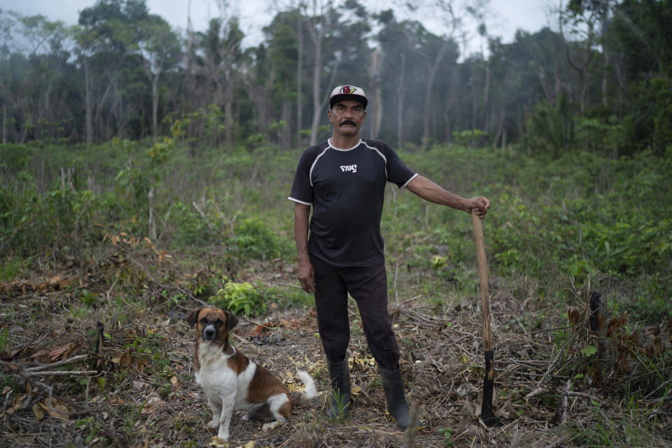 In this Nov. 20, 2019 photo, Valmir Lima de Souza poses with a sickle on his manioc plantation at the Curua-Una region in Santarem, Para state, Brazil. The 60-year-old small farmer, who has been working on this land for 48 years, says people have tried to buy his property, telling him that he has already raised his family and deserves to take a rest. "Man, I am already resting, because I didn't have water and light here, and now I have water and light and I am resting in my piece of land where I'm gonna stay. Making abundance, growing what I want to plant," says Souza. (AP Photo/Leo Correa)