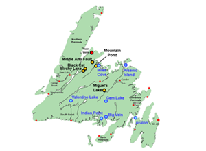 The Properties (identified in blue in the below image) cover a total of 13,125 hectares spread broadly across Newfoundland.