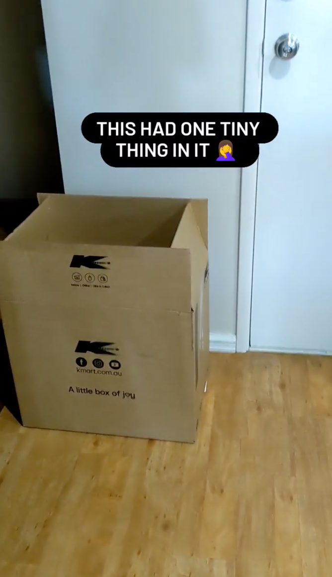 Kmart box for tiny delivery