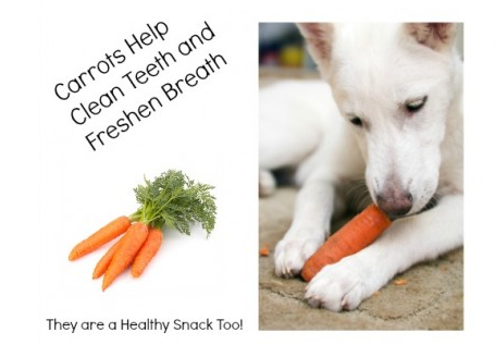 do raw carrots help clean dogs teeth