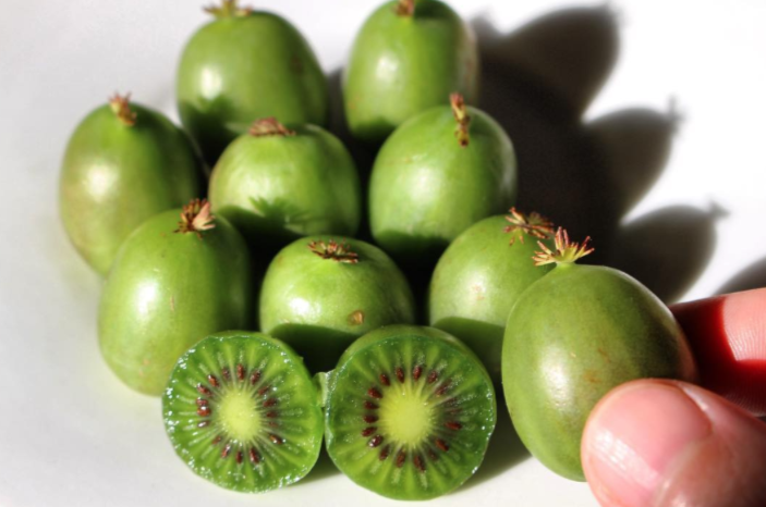 This adorable fruit is going to completely change your summer salad game