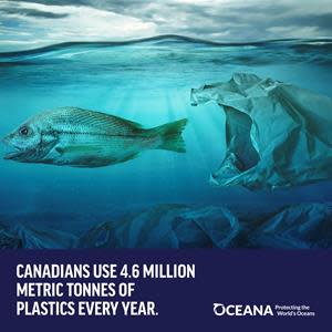 Almost half of the plastic waste Canada produces every year comes from plastic packaging.