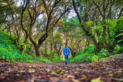 El Hierro has a huge variety of landscapes - Credit: getty