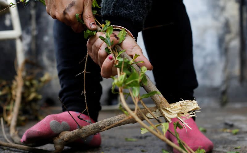 Ahlam Mohsin Warda cuts tree branches to be used for heating at her home in Damascus