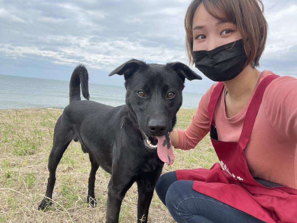 下坂未華以其飼養照顧貓狗的經驗，讓毛寶貝重拾對人的信任及幫助牠們社會化，成為浪浪的照護天使。   圖：新北市動保處提供