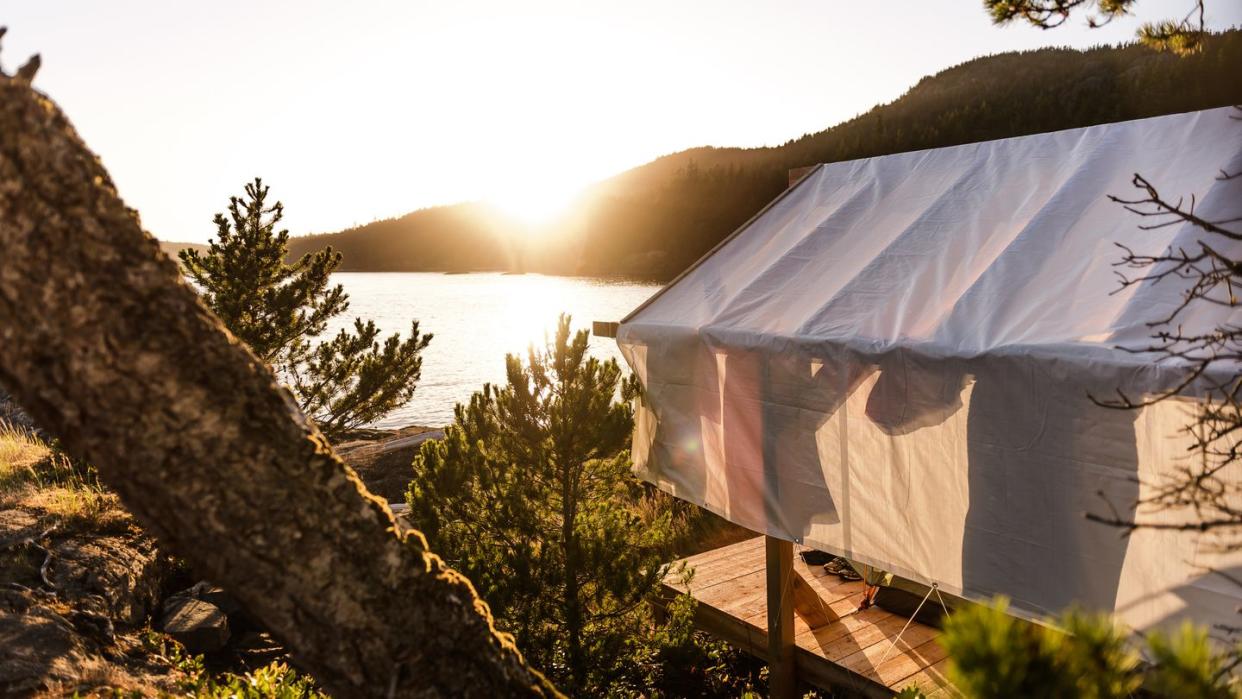 tent in wilderness, johnstone strait, telegraph cove, canada