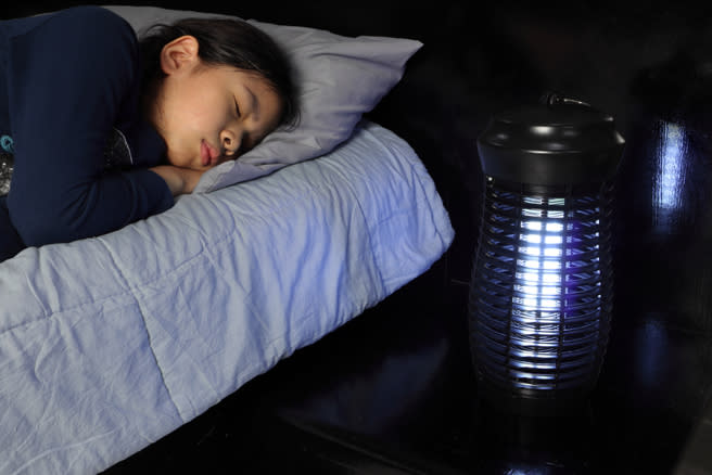 捕蚊燈要避免「人燈一室」，才能提高捕蚊效果。（示意圖：shutterstock／達志）