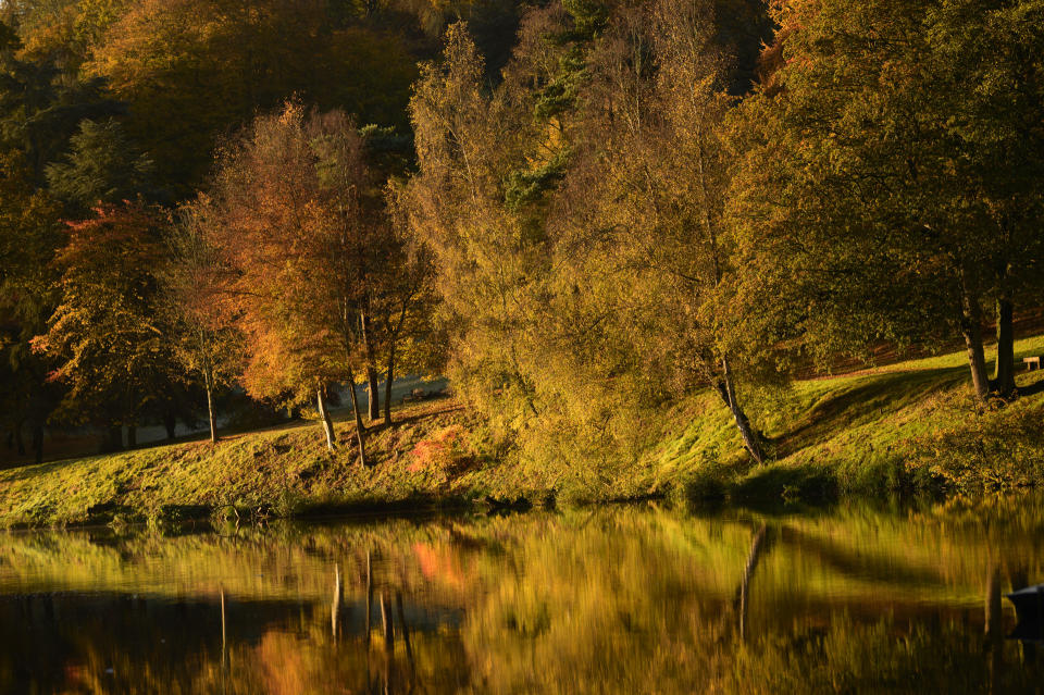 autumn trees reflected in a lake