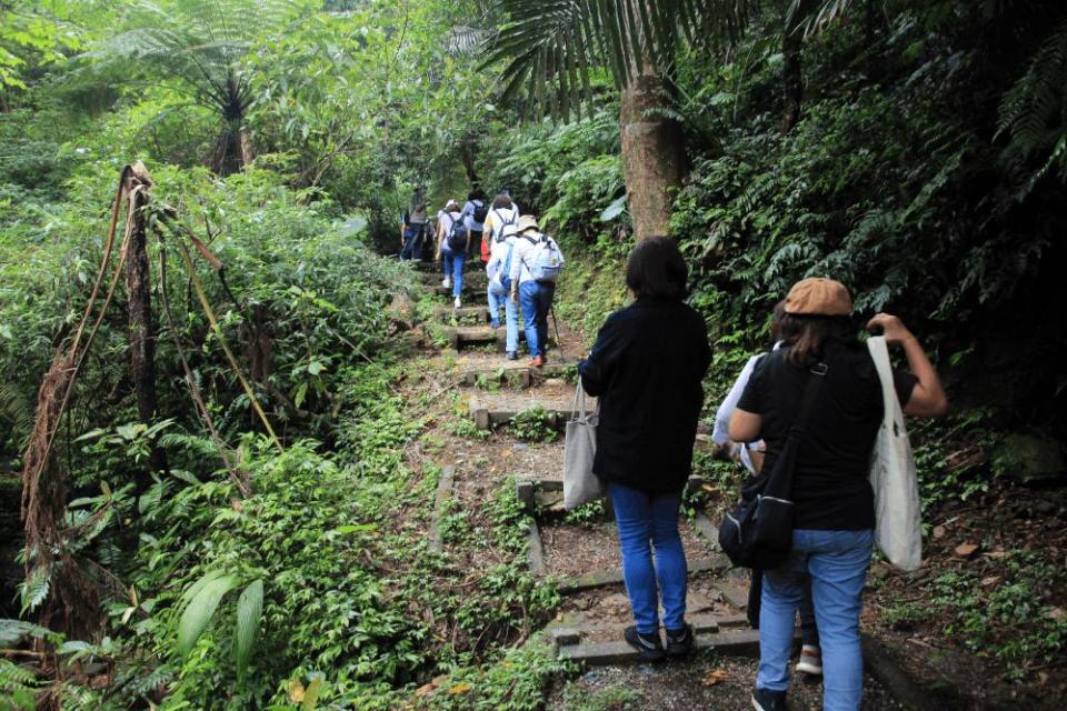 七堵賞桐花小旅行