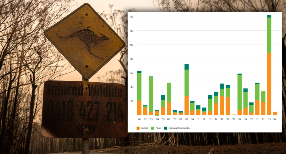 Background - a kangaroo sign that's been burnt during the Black Summer bushfires. Inset - a graph shows 2023 EPBC listings compared to other years. Dark green is ecological communities, light green plants, and orange animals.