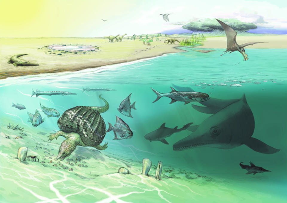 ichthyosaur illustration (Jeannette Rüegg/Heinz Furrer / University of Zurich)