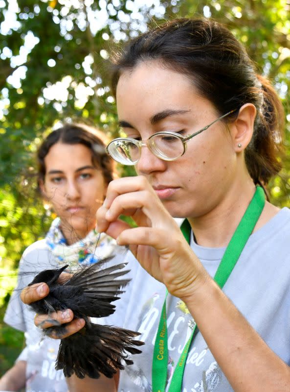 Cuban biologists unravel mysteries of bird migration