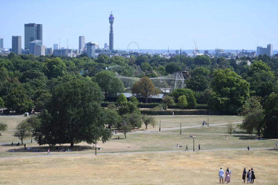 Parched ground on London’s Primrose Hill (EPA)