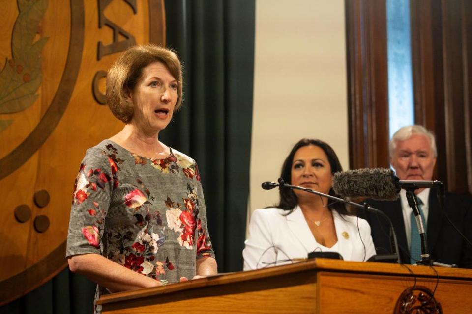 House Rep. Vikki Goodwin speaks about property taxes in July at the Capitol.