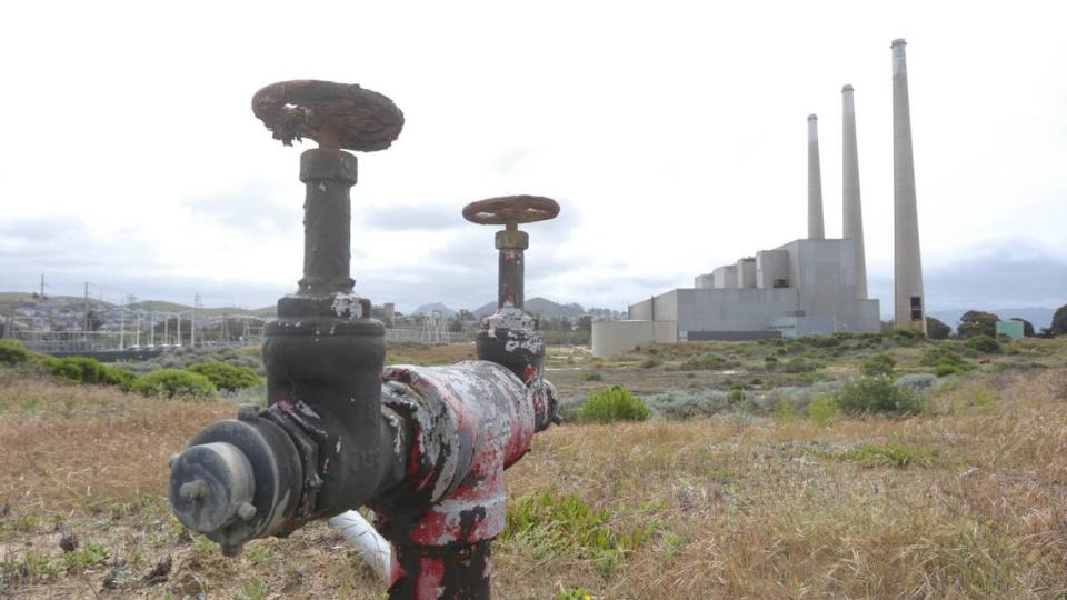 Tour of former Morro Bay Power Plant site on April 24, 2024, where Vistra has proposed a battery electrical storage facility. Old fire suppression pipes were amid the former oil tanks.