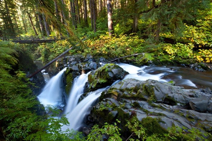 Sol Duc Falls and Bridge in Olympic National Park