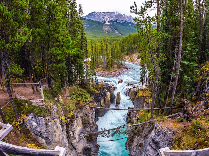 jasper national park canada