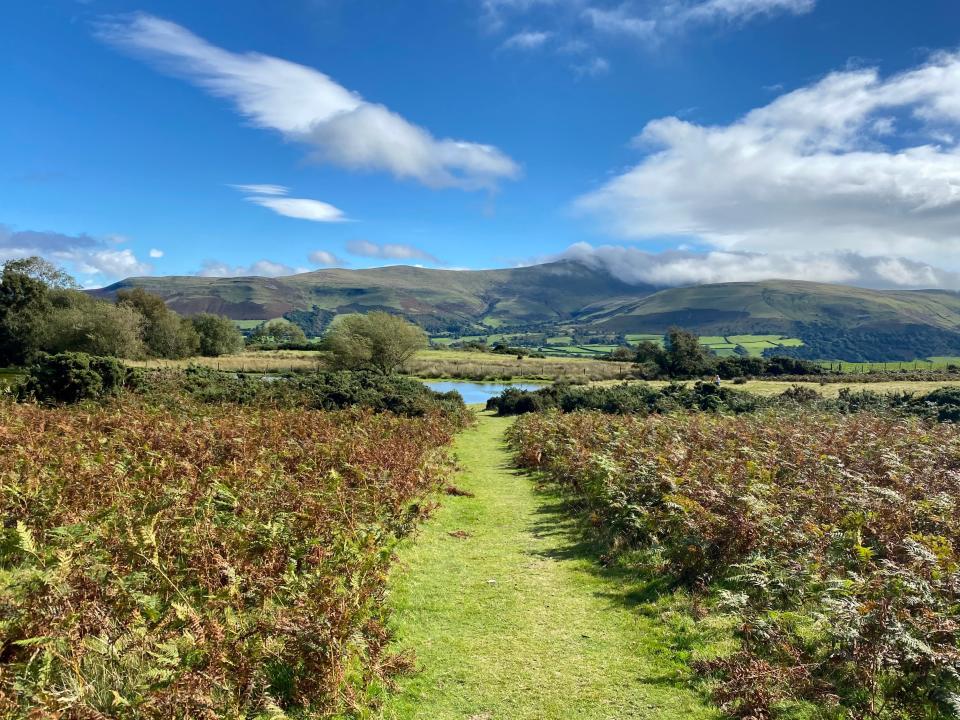 <p>An otherworldly walk along Sarn Helen</p> (Sian Lewis)