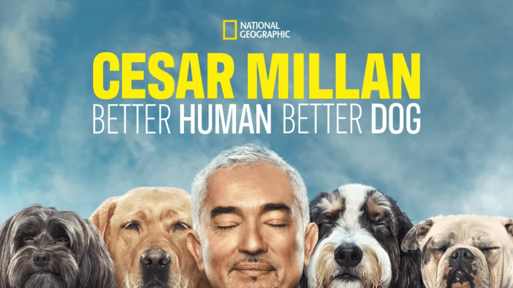 Cesar Millan: Better Human, Better Dog Season 2