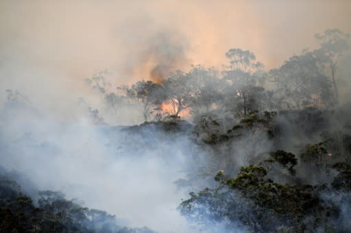 Six people have been killed and more than 700 houses destroyed�in Australian bushfires this fire season