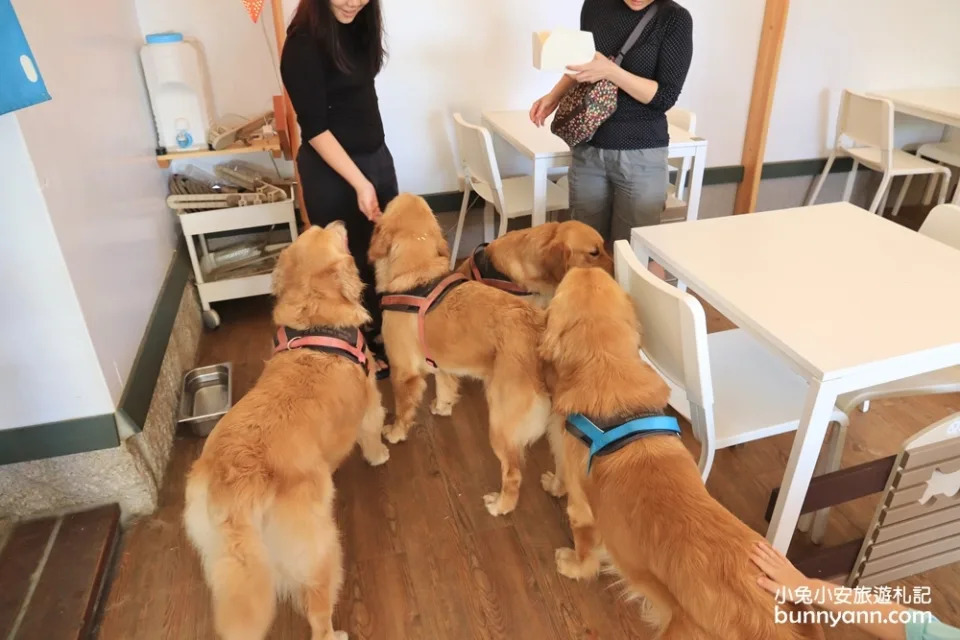 台中景點｜獵犬不打獵寵物餐廳