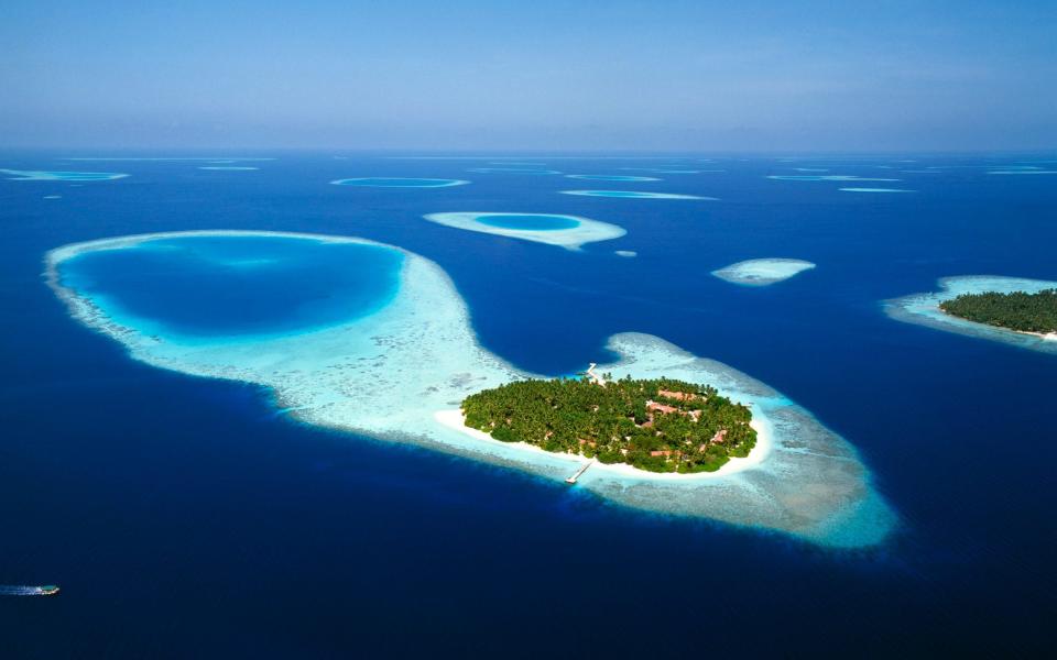 Trips to the Maldives are back on the menu under the auspices of reef regeneration - Maremagnum