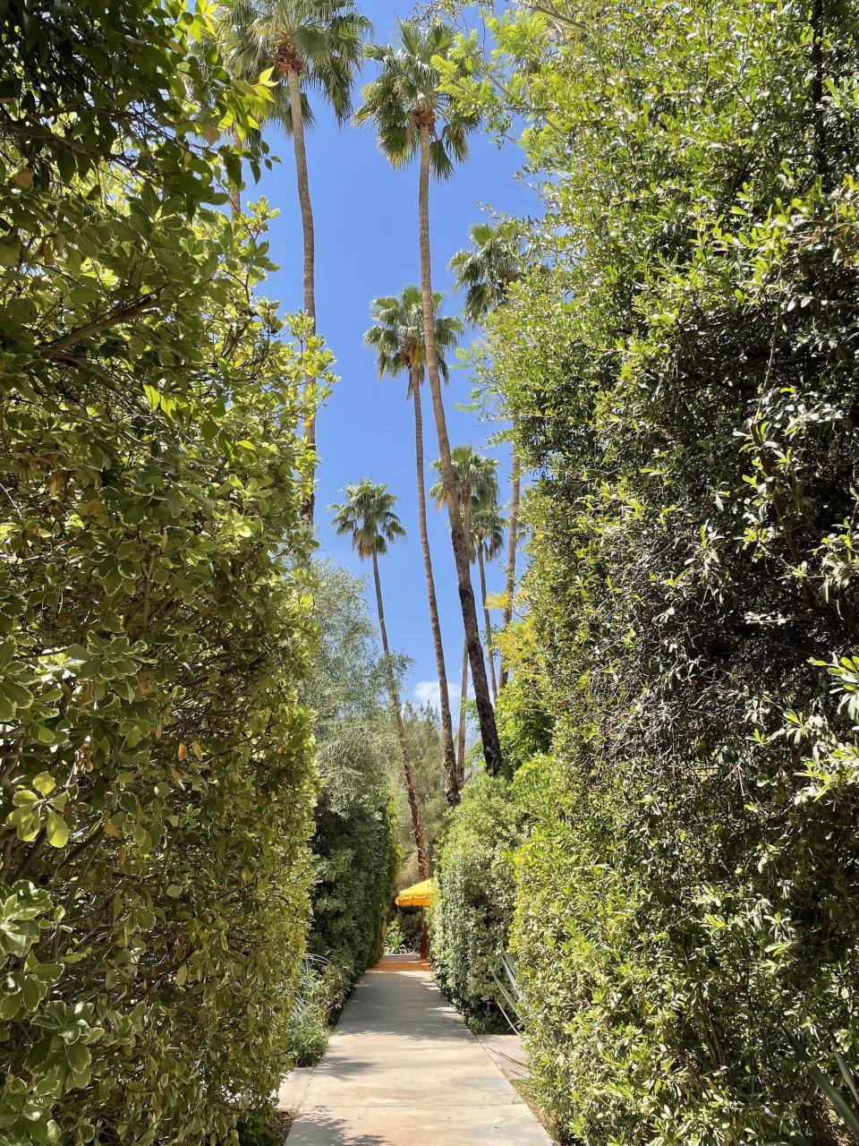 Walkway on Parker's grounds