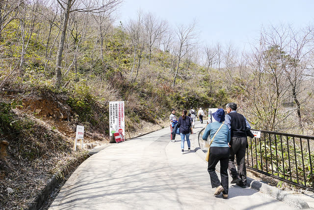 【日本100名城】【山陰兵庫縣】竹田城跡 天空之城