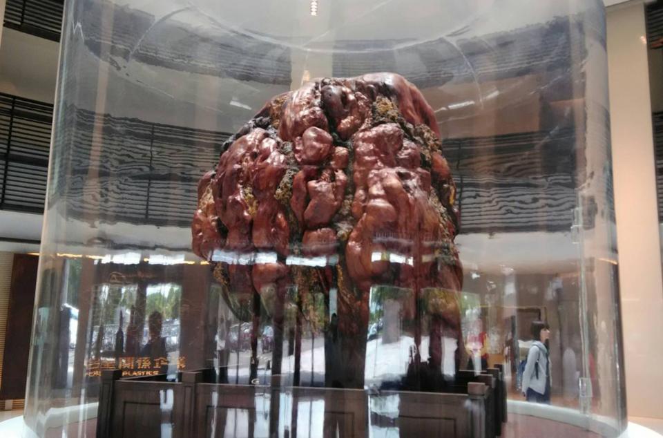 台塑企業創辦人王永慶生前的收藏品不多，但卻很亮眼，台塑企業文物館展示一塊8.5噸的木化石，是全球公開展示最大木化石。（中央社）