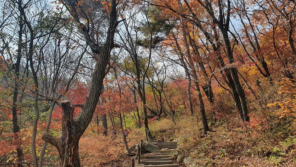 北漢山（Image Source : Getty Creative/iStockphoto）