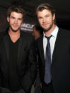 Chris Hemsworth and Liam Hemsworth photos: We can’t believe our luck, there’s two of them! Copyright [Getty]