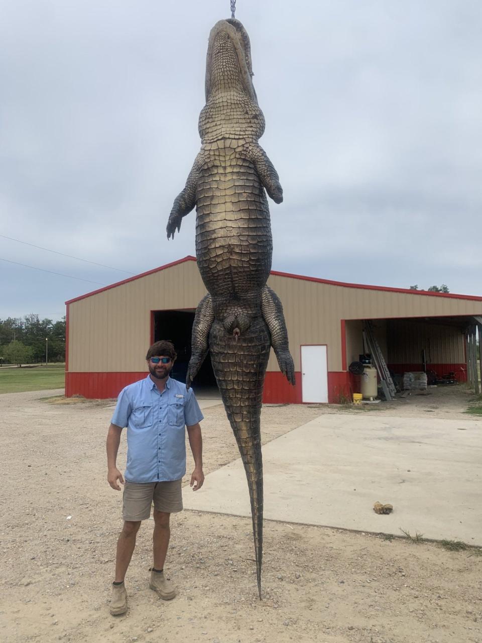 Joel Jumper of Helena, Arkansas stands next to an 819.5-pound alligator that would have been a new Mississippi state record for heaviest alligator if it had not lost a foot.