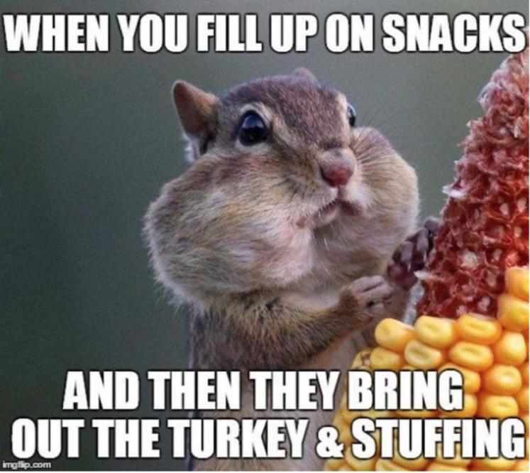 Thanksgiving 2023 Funny Memes & Hilarious Jokes: From Food Coma to Mac &  Cheese Supremacy, Turkey Day Memes to LOL at after Having Food for an  Entire Universe