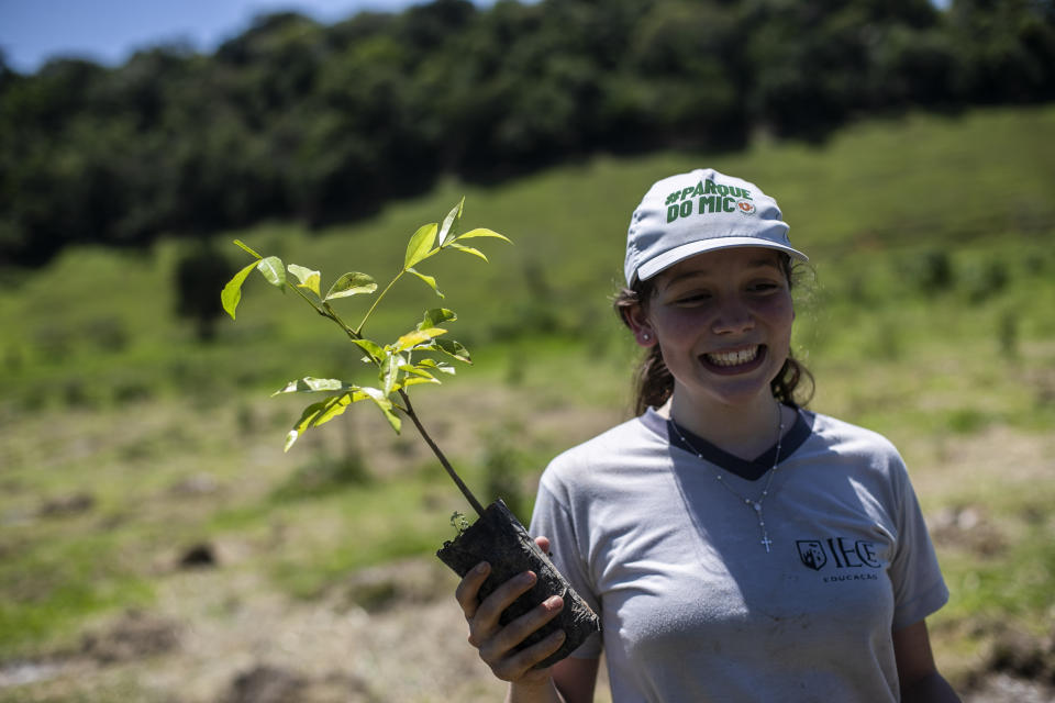 A student participates in the planting of tree seedlings that will form an ecological corridor to allow a safe passageway for the region's most emblematic and endangered species: the golden lion tamarin. in the rural interior of Rio de Janeiro, Silva Jardim, Brazil, Thursday, Nov. 9, 2023. (AP Photo/Bruna Prado)